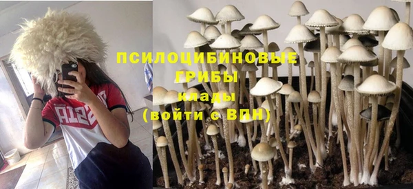 сатива Алексеевка
