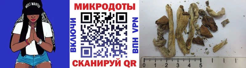 Псилоцибиновые грибы Cubensis  даркнет сайт  Анива 