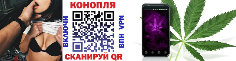 купить наркоту  Анива  Бошки марихуана Amnesia 